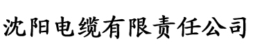 小家碧玉全文林朝英电缆厂logo